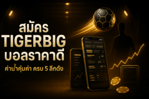 สมัคร TIGERBIG บอลราคาดี