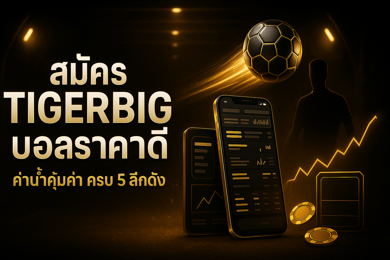 สมัคร TIGERBIG บอลราคาดี
