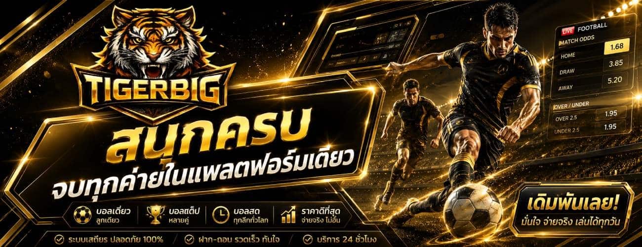 สนุกครบ จบทุกค่ายในแพลตฟอร์มเดียว