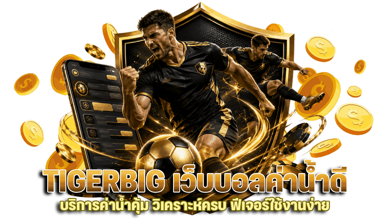 TIGERBIG เว็บบอลค่าน้ำดี