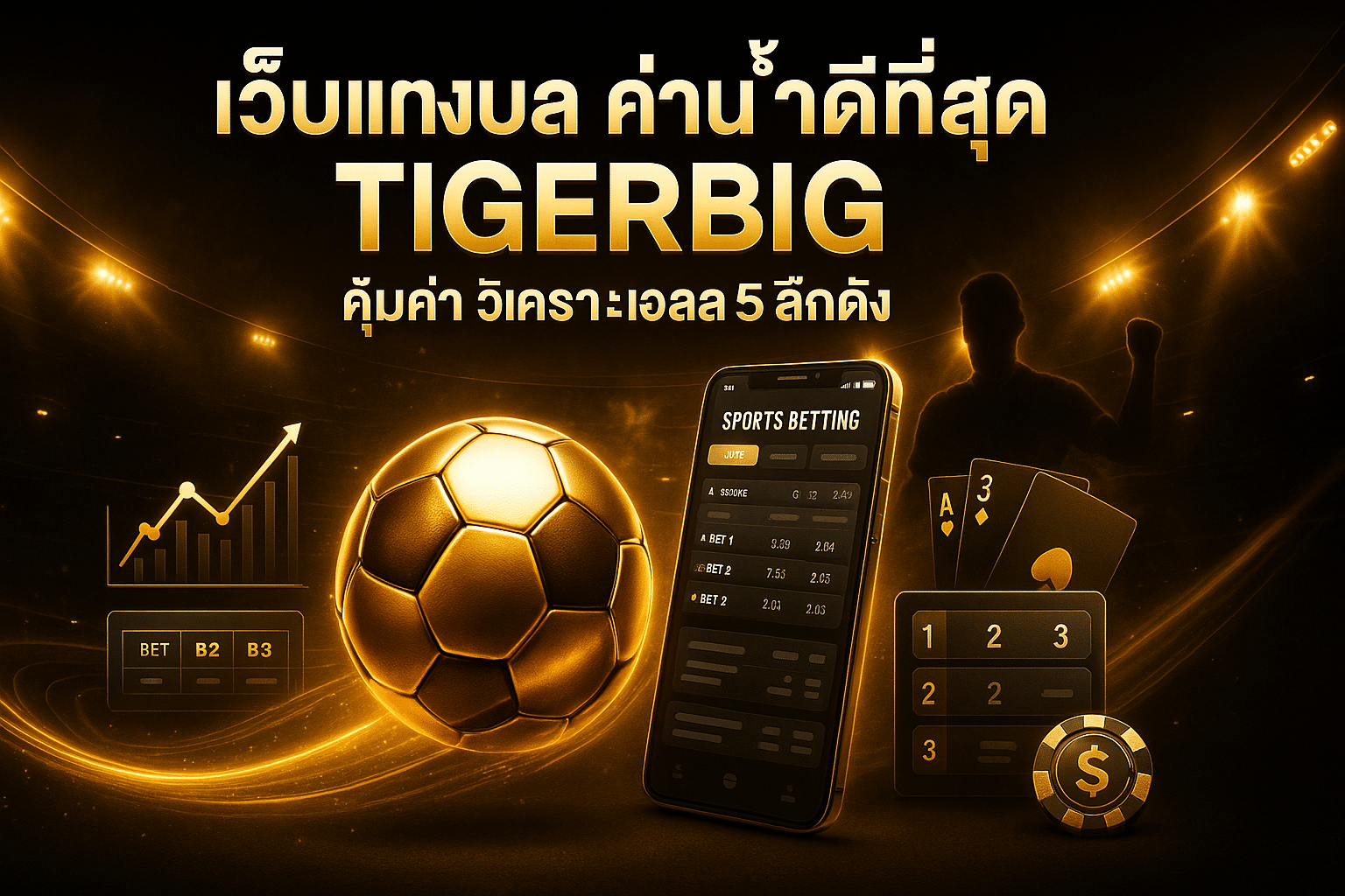 เว็บแทงบอล ค่าน้ำดีที่สุด TIGERBIG