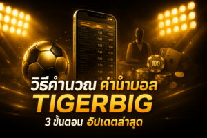 วิธีคำนวณ ค่าน้ำบอล TIGERBIG