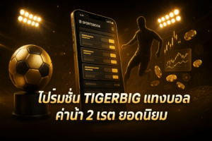 โปรโมชั่น TIGERBIG แทงบอล